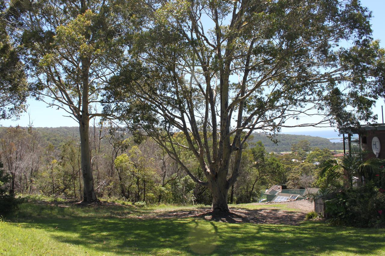 Hillcrest Merimbula Extérieur photo